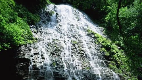 高效独特
